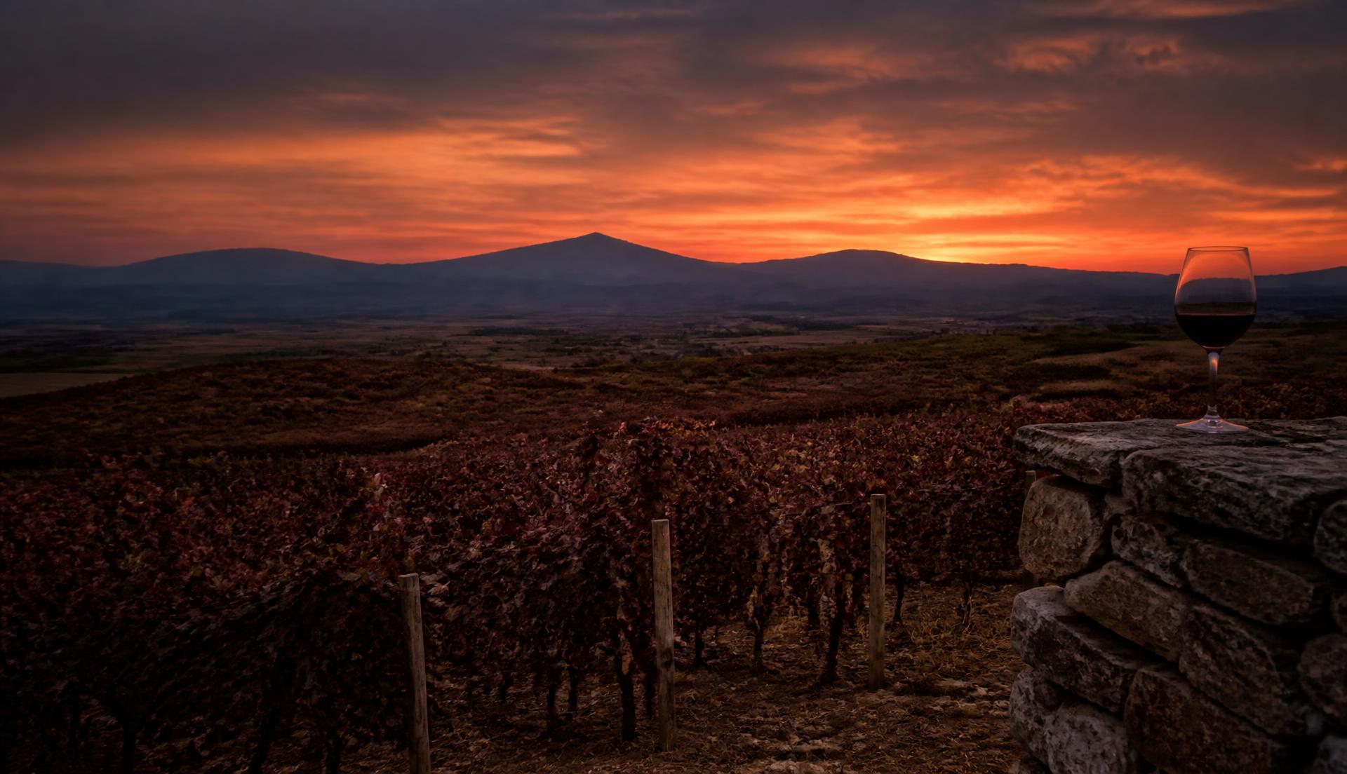 Macedonian vineyards at dusk with mountains in the distance
